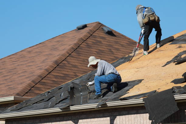 Best Roof Maintenance and Cleaning  in Luling, TX